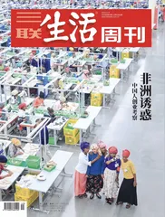 李智彪：民营企业逐渐成为投资非洲主力军