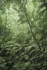 渗透在人性中的植物性6