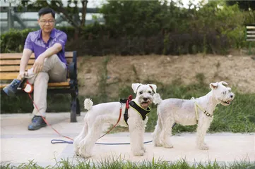 爱情物证