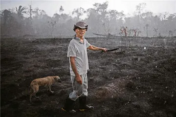 亚马逊不是地球的肺