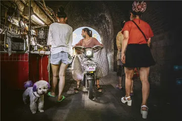 发现甲骨文（上）5