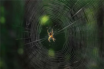 好消息·坏消息（1062）1