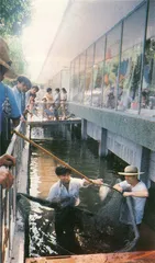 吴仁宝：一个书记和他的村庄1