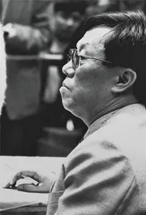 王蒙：超越“伤痕文学”