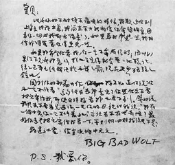 《朱生豪情书全集》：爱与理想皆为天外星光2