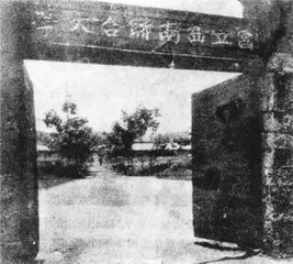 何处可容身：历史与现实2