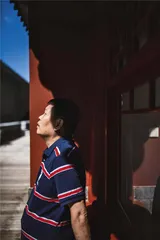粉彩天球瓶：精细图像时代1
