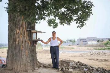 乔家大院被摘牌：资本席卷之后3