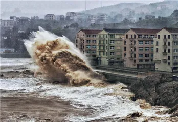 浙江山早村：台风中的“无征兆”滑坡