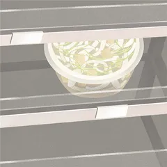 秋日凉皮