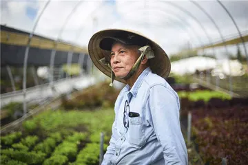 39名越南偷渡客的不归路4