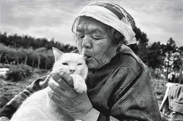 我们与猫的情感问题5