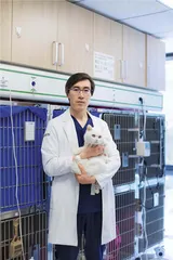 你停止焦虑，猫的病就好了1
