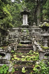 熊野古道：被森林浸没3