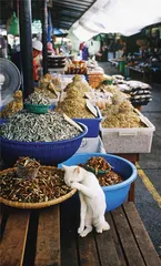 猫眼看人间1
