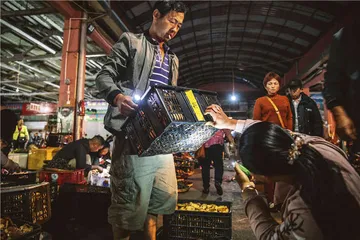 云南野生菌火锅：撬动山野之鲜1