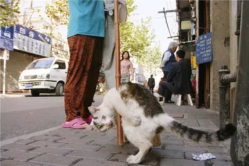 猫眼看人间2