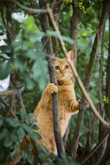 猫眼看人间4