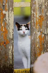 猫眼看人间5