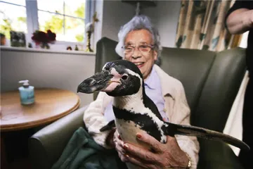 认识阿尔茨海默：从疾病到情感4