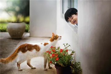 小孩与猫