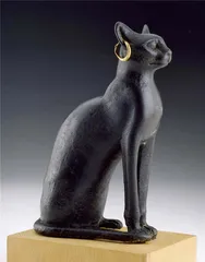 猫咪 曾经为神