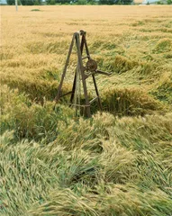沿淇河而行2