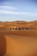 撒哈拉二重奏1