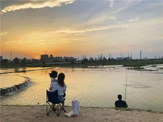 淌过《诗经》的渭河1
