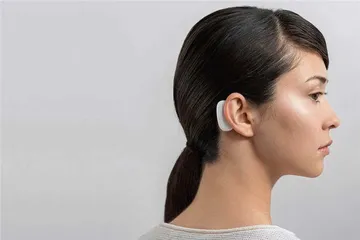 脑机接口：马斯克的美丽新世界3