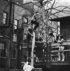 《人生七年》：一场跨越56年的真人秀