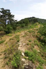 寻找齐长城