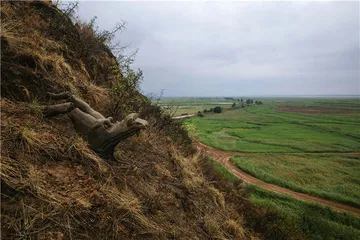 首阳山的青铜时代