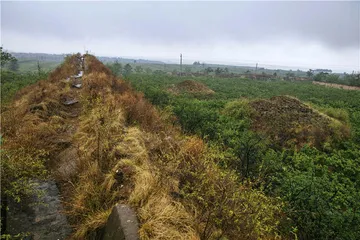 首阳山的青铜时代1