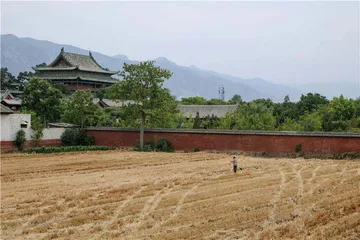 首阳山的青铜时代3