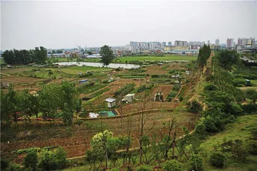 随枣走廊：文化交汇之地