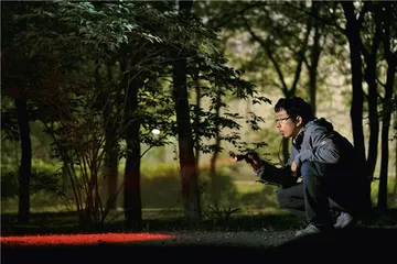 城市里的野生动物8