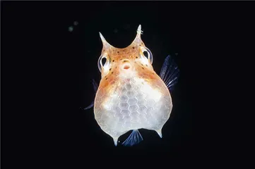 我们与大海的关联3
