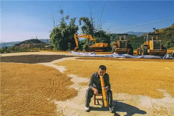 云南咖啡豆：重塑亚洲味道1