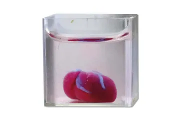 3D打印一个心脏，到底有多难？1
