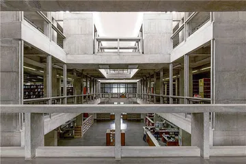 多西：为印度而建造6