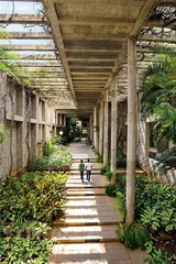多西：为印度而建造7