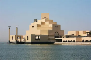沙漠里的玫瑰8