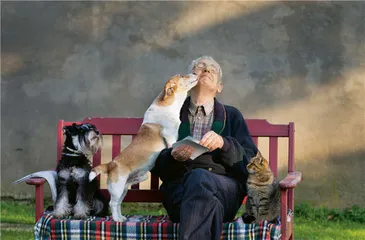 猫高一尺，犬高一丈0