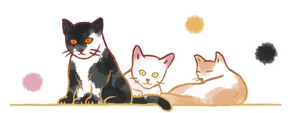 猫咪伴侣