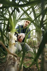 打开植物世界，从智识到心灵12
