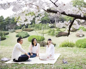 从城市到郊野，如何观看植物