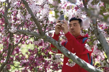 从城市到郊野，如何观看植物5