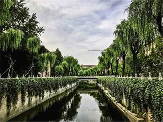 从城市到郊野，如何观看植物6