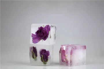 愿你也有一座花园5